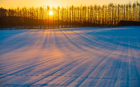 季節の写真紹介