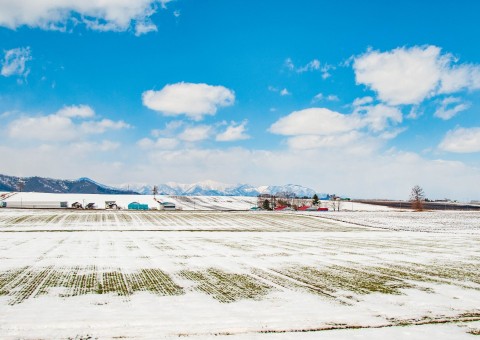 季節の写真紹介